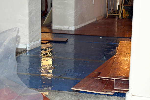 Professional Burst Pipe Cleanup technician working in Milford, UT